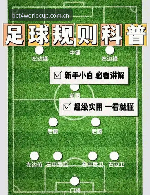 世界杯买球APP使用教程安全吗？深度解析与实战操作指南