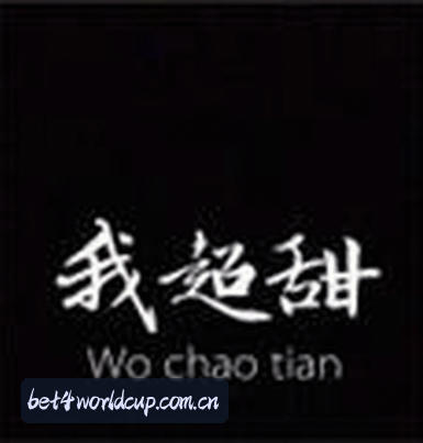 赵凯